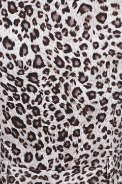 Zabrina Leopard Print Swing Dress