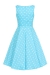 Ruth Polka Dot Swing Dress