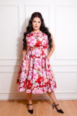 Charlie Floral Swing Dress in Plus Size