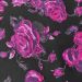 Darlene Retro Black/Pink Roses Swing Dress