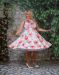 Ayla Floral Swing Dress