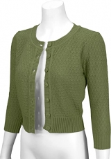 Cute Pattern Cropped Cardigan Sweater: SAGE